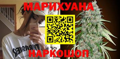 индика Краснознаменск